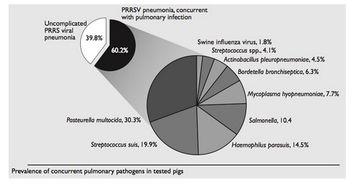 PRRS行業動態全解析 行情走勢、企業管理與行業趨勢